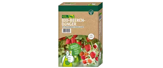 ERDBEEREN AUS DEM EIGENEN GARTEN