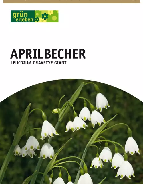 Aprilbecher