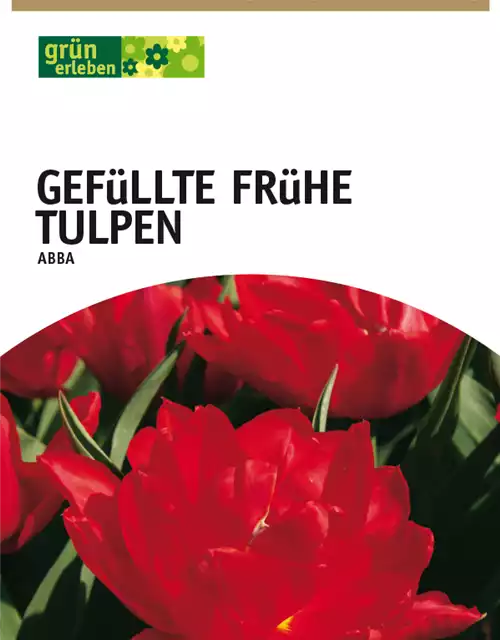 Gefüllte frühe Tulpen