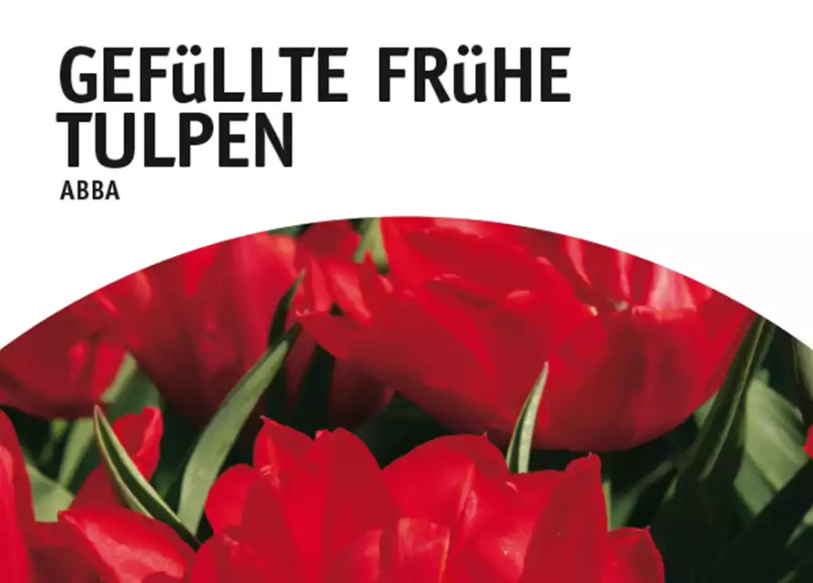 Gefüllte frühe Tulpen