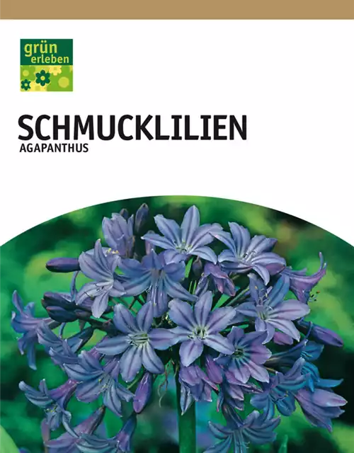 Schmucklilien