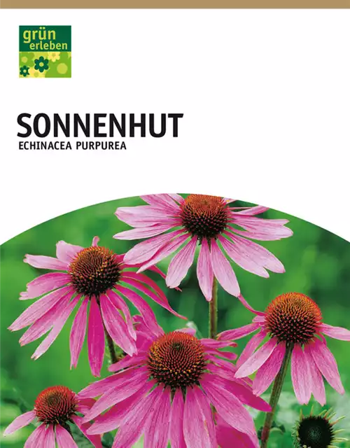 Sonnenhut