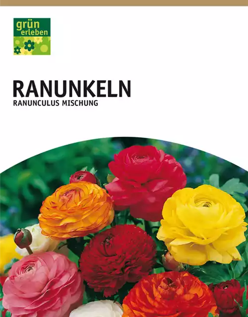 Ranunkeln