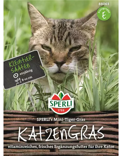 KATZENGRAS