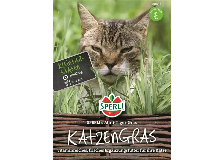 KATZENGRAS