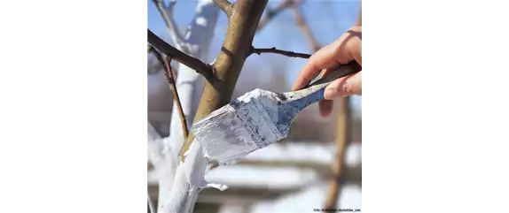 GUT GESCHÜTZT DURCH DEN WINTER!