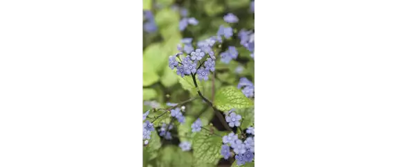 AUF DIE PLäTZE, GARTEN, LOS! 