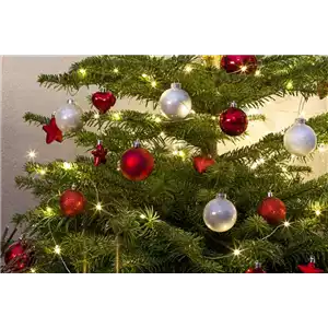 WEIHNACHTS-LICHTER-GÄRTEN