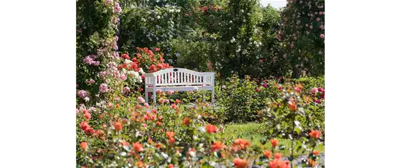 DER ROSENGARTEN - SCHLICHTE ELEGANZ UND TOLLE DüFTE