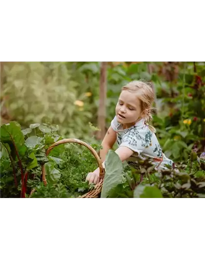 KINDER SPIELERISCH IN DIE ERNTE EINBEZIEHEN