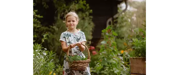 KINDER SPIELERISCH IN DIE ERNTE EINBEZIEHEN