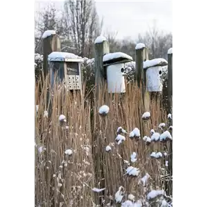 WEIHNACHTLICHE STIMMUNG IM GARTEN